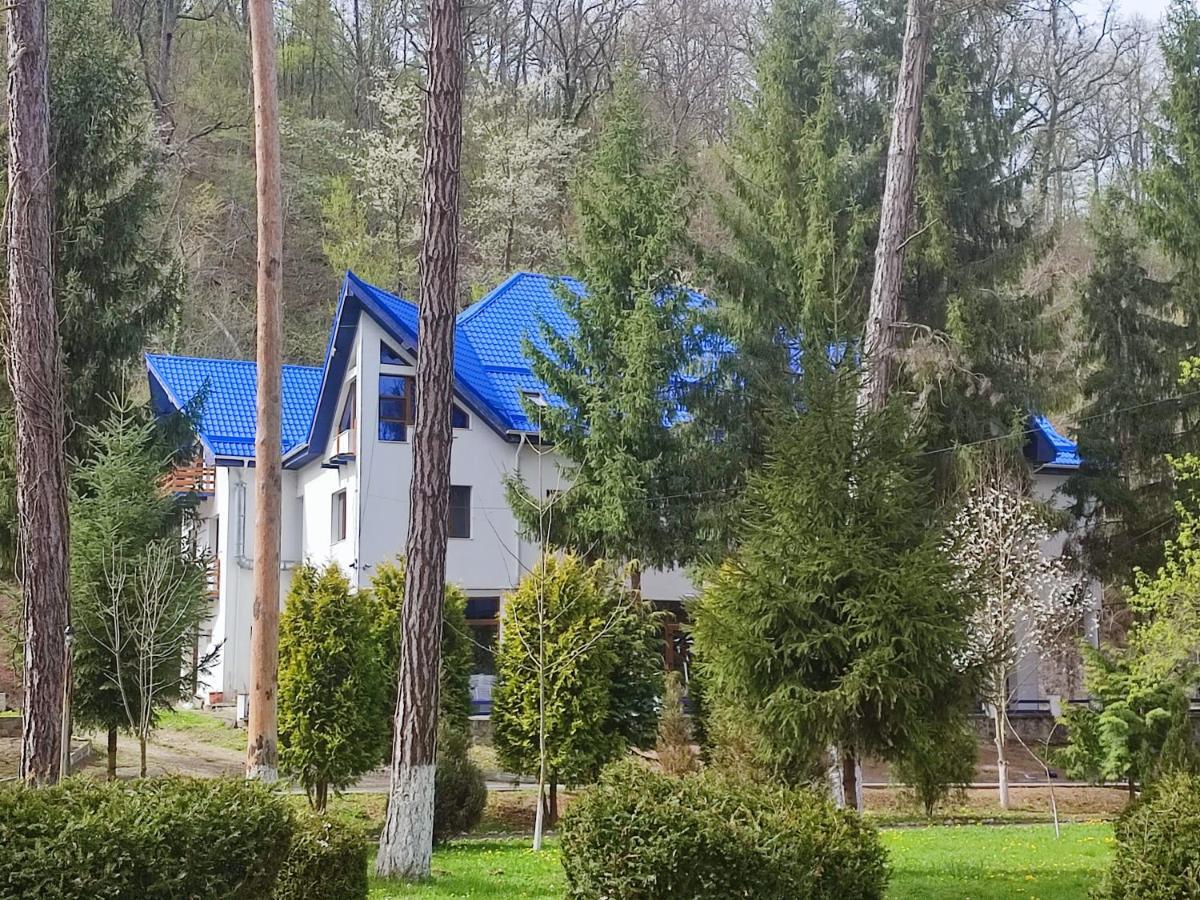 Hotel Parc Geoagiu Băi Zewnętrze zdjęcie