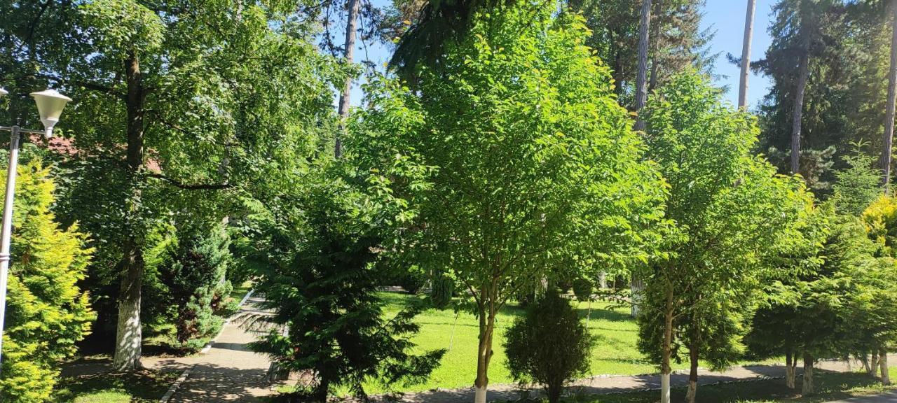 Hotel Parc Geoagiu Băi Zewnętrze zdjęcie