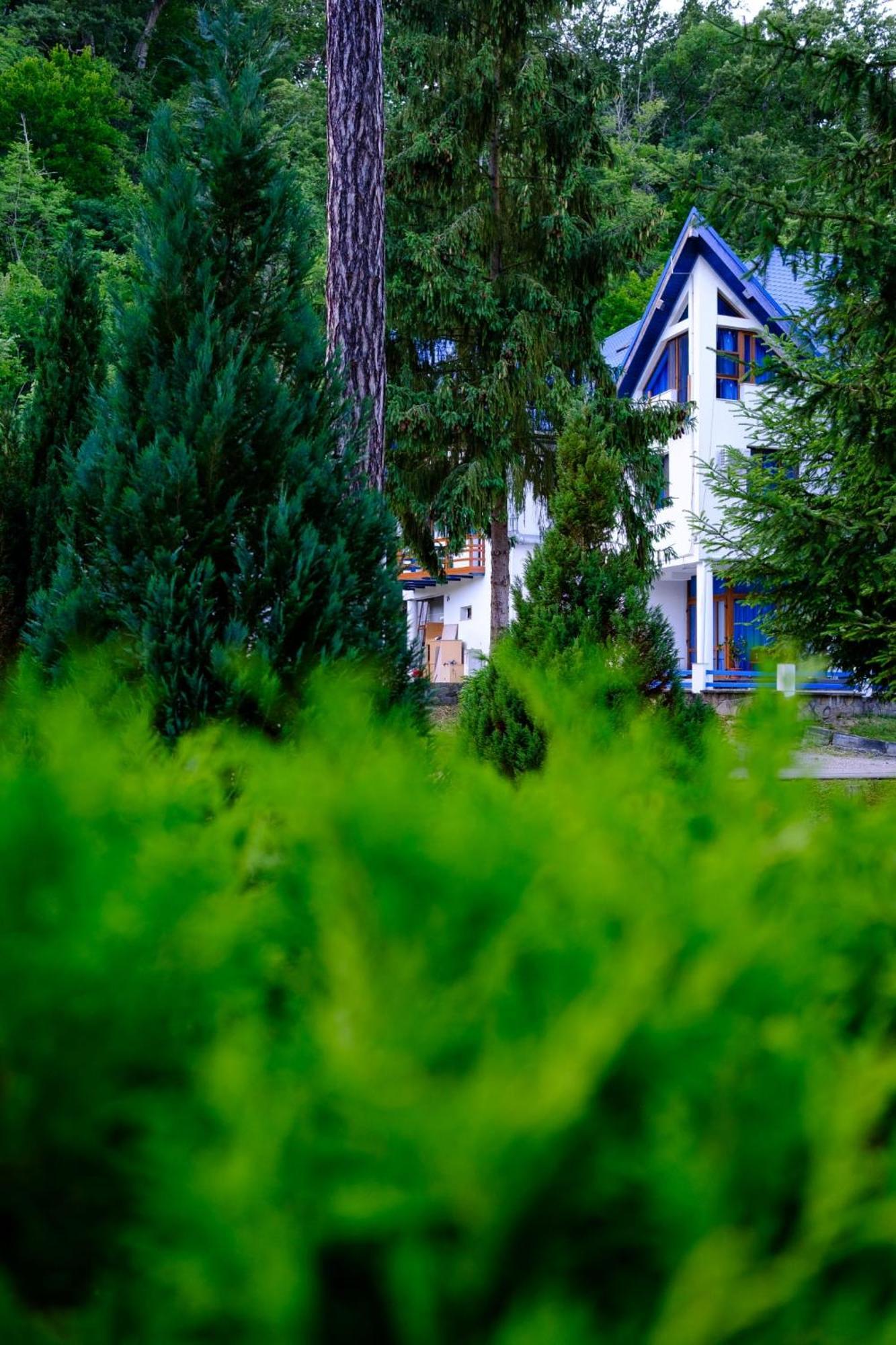 Hotel Parc Geoagiu Băi Zewnętrze zdjęcie